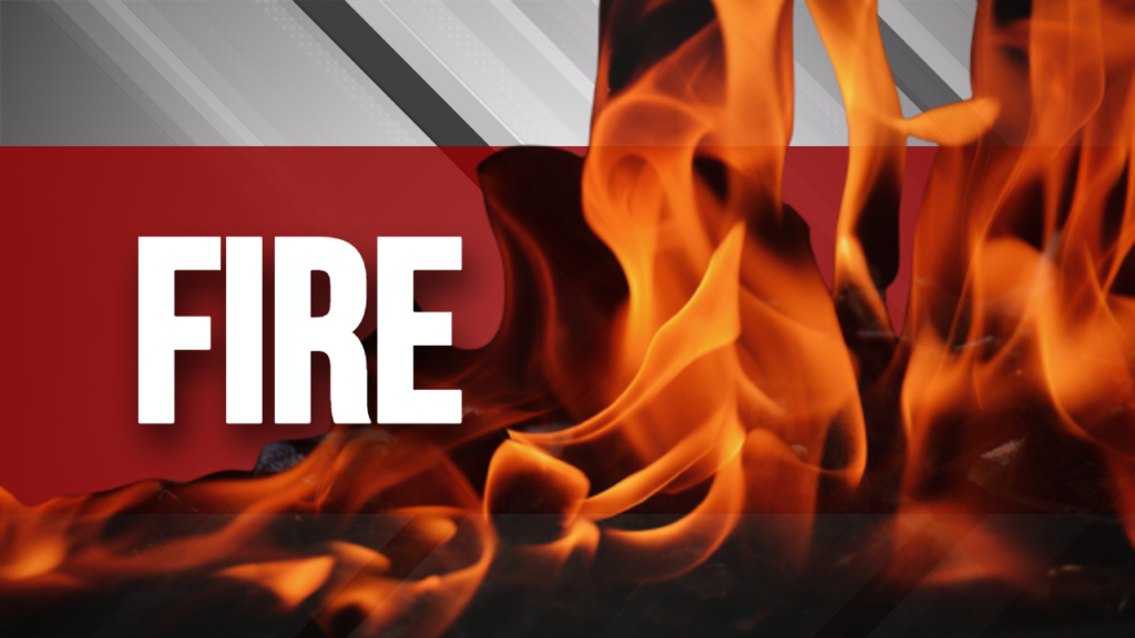 Early Morning Woods/Brush Fire In Ellisville