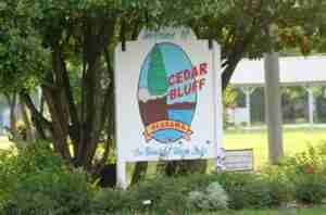 Cedar Bluff Town Council meeting involving a police department property purchase, new street name and Life Saving Award