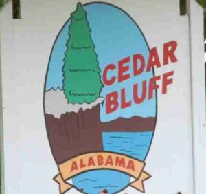 Cedar Bluff Town Council meeting involving a police department property purchase, new street name and Life Saving Award