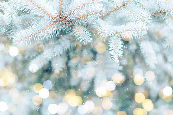 Millions of people under frost and freeze alerts as cold temperatures hit Deep South - WEIS - Vimarsana News
