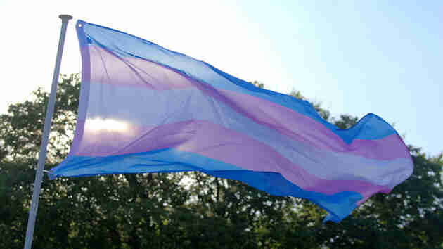Transgender care targeted into adulthood in these states - WEIS | Local & Area News, Sports, & Weather - Vimarsana News