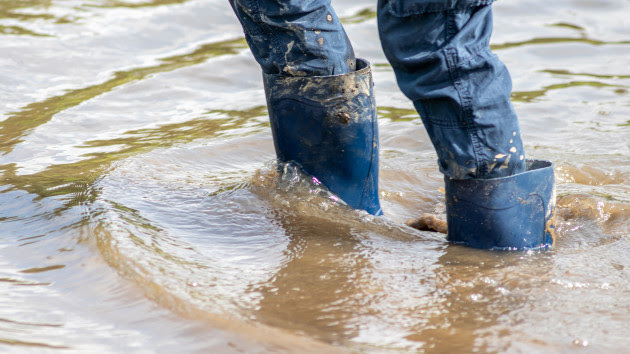 Flood threat continues from swelling Mississippi River - WEIS | Local & Area News, Sports, & Weather - Vimarsana News