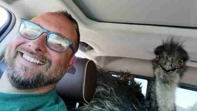 Escaped emu takes owner and police on 20-mile chase in Tennessee - WEIS | Local & Area News, Sports, & Weather - Vimarsana News