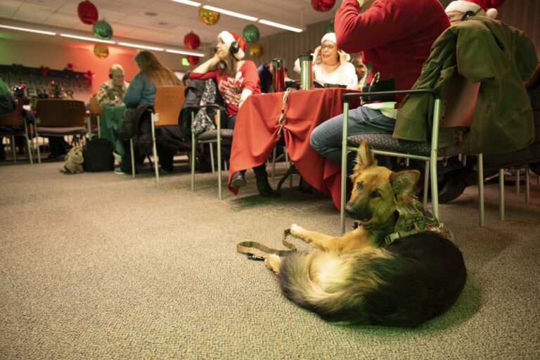 Track Santa’s Flight on Christmas Eve with NORAD and WEIS WEIS