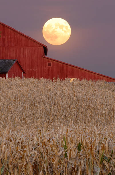 Harvest Supermoon to Light Up the Sky Monday Night
