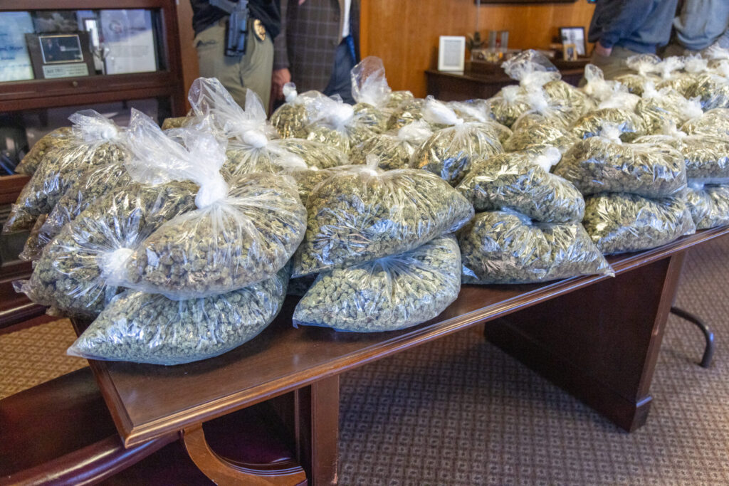 SCAN Unit Seizes Over 95 Pounds of Marijuana Worth Over $100,000 in East Gadsden