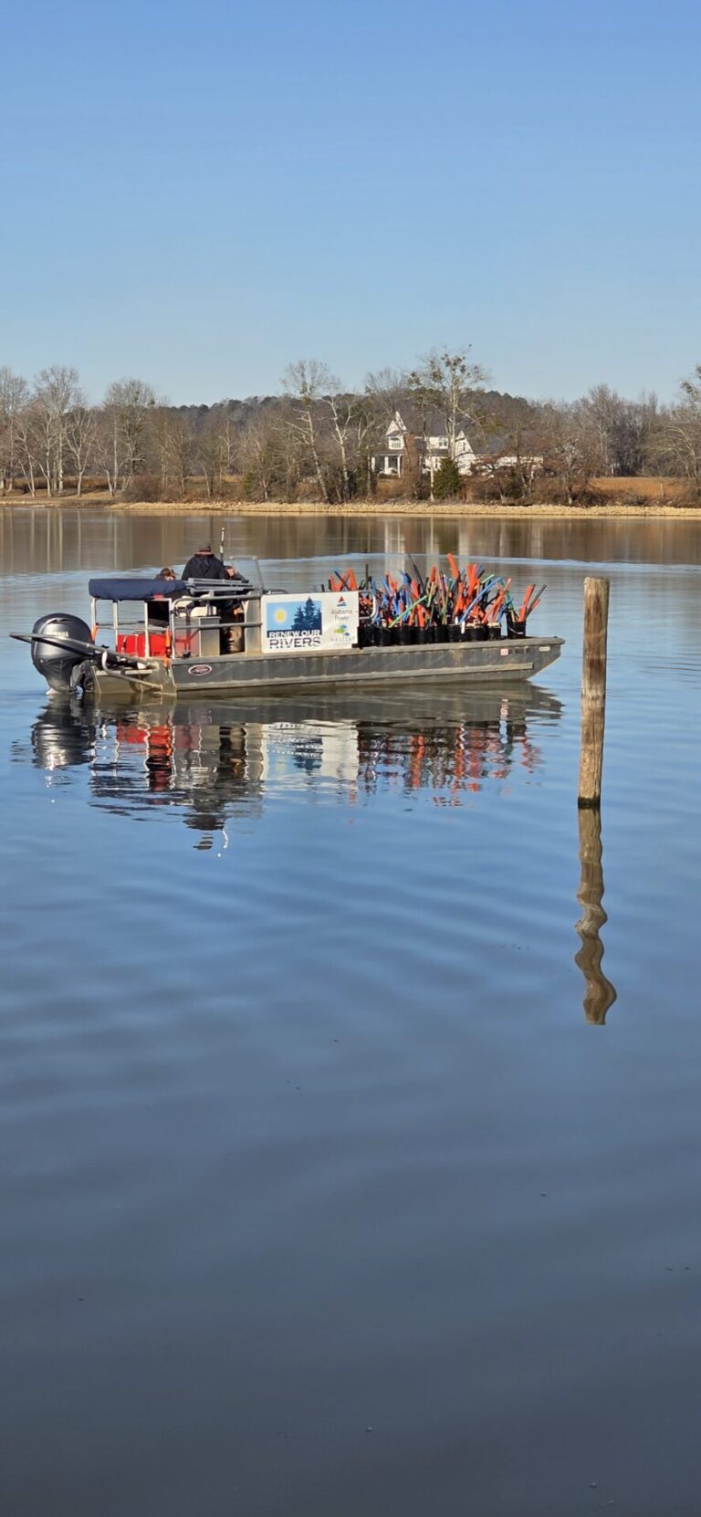 Weiss Local Invasion Volunteers Deploy New Fish Habitats in Weiss Lake to Strengthen ...