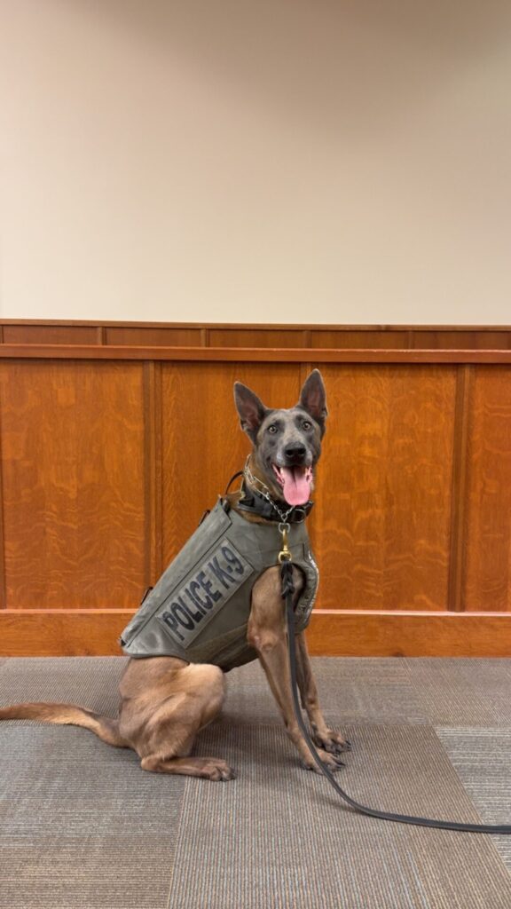 Anniston Police K-9 Izzy Receives Donated Protective Body Armor