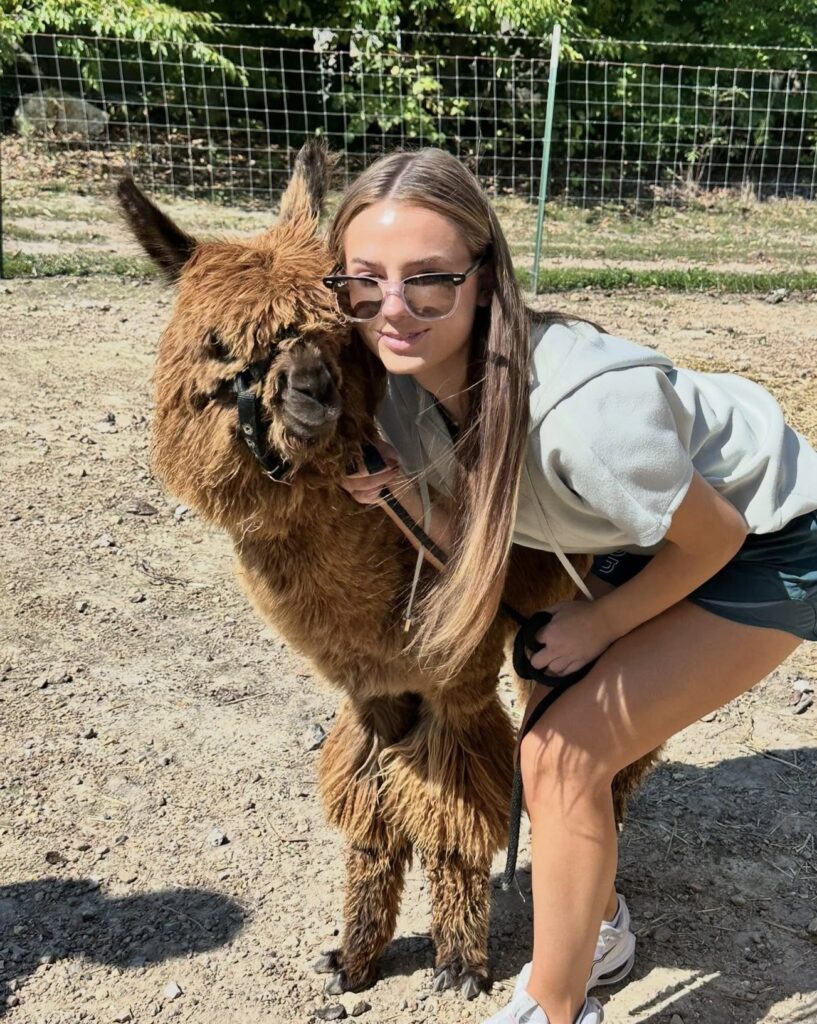 Beloved Alpaca Reported Missing from Anniston Farm Community Asked to Help Locate “Chappy”