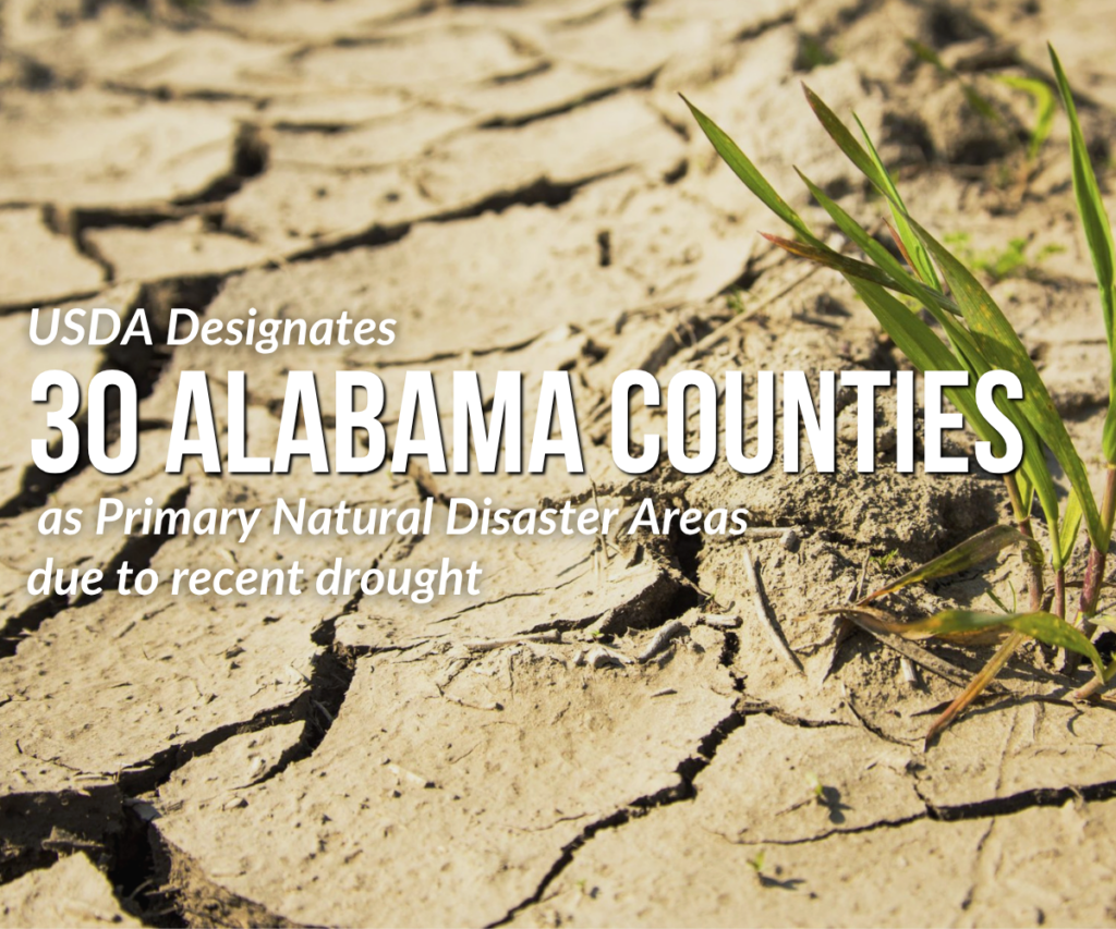 USDA Designates 30 Alabama Counties as Primary Natural Disaster Areas