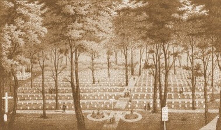 Remembering the Fallen: The History and Meaning of Memorial Day