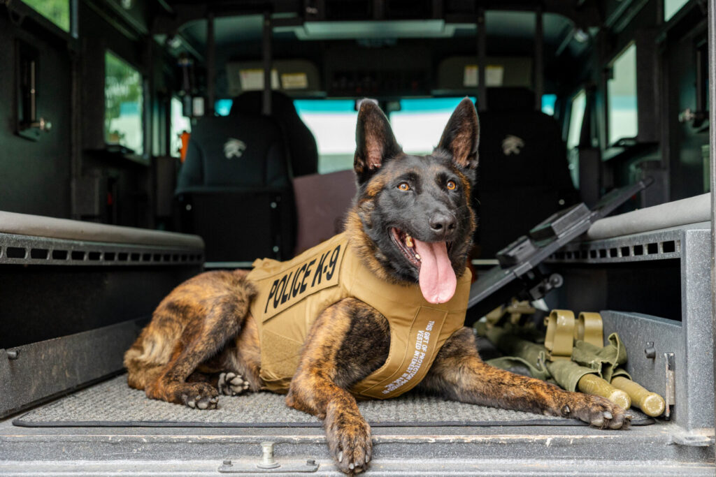 Alabama Law Enforcement Agency K9 Toby has Received Donation of Body Armor