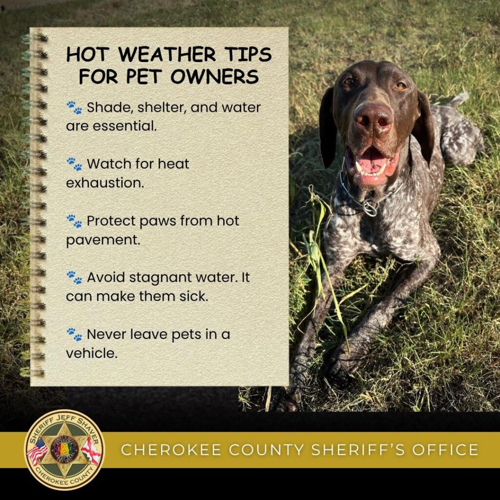 Cherokee County Sheriff's Office Shares Summer Safety Tips for Pets