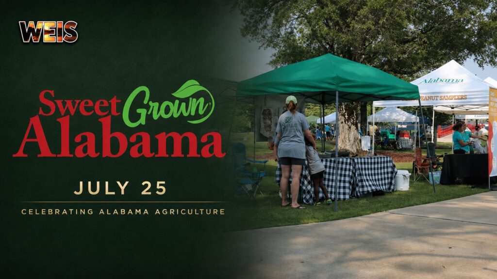 WEIS news graphic promoting Sweet Grown Alabama Day on July 25 with an Alabama farmers market and official program branding.