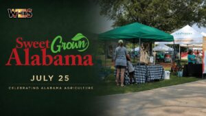 WEIS news graphic promoting Sweet Grown Alabama Day on July 25 with an Alabama farmers market and official program branding.