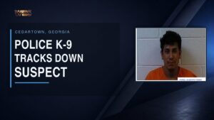 WEIS news graphic featuring the mugshot of Gilberto Tomas Perez following a Cedartown K-9 domestic assault arrest.