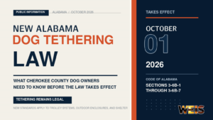Alabama dog tethering law requirements taking effect Oct. 1, 2026
