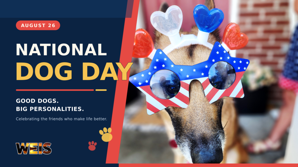 ational Dog Day header featuring a dog wearing patriotic star-shaped sunglasses.