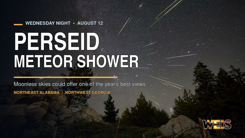 Perseid meteor shower over a forest with viewing information for Northeast Alabama and Northwest Georgia.