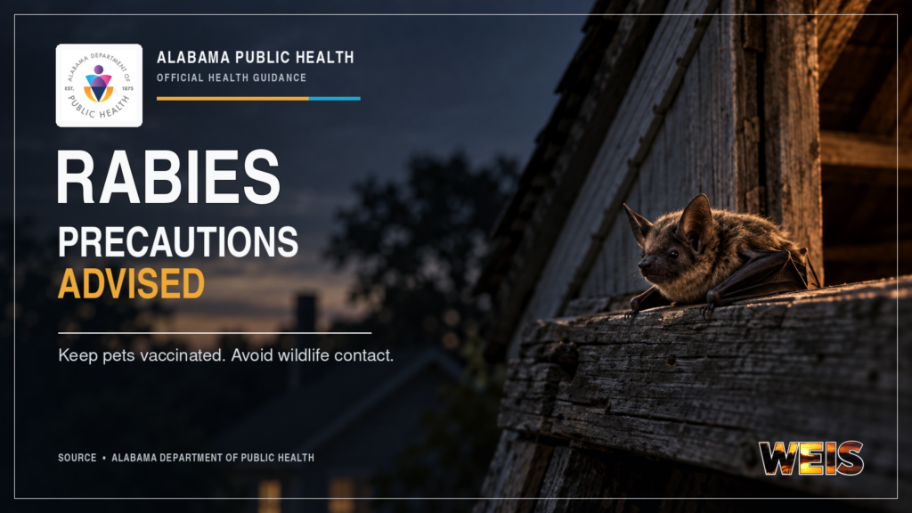 Rabies precautions for Alabama residents from ADPH