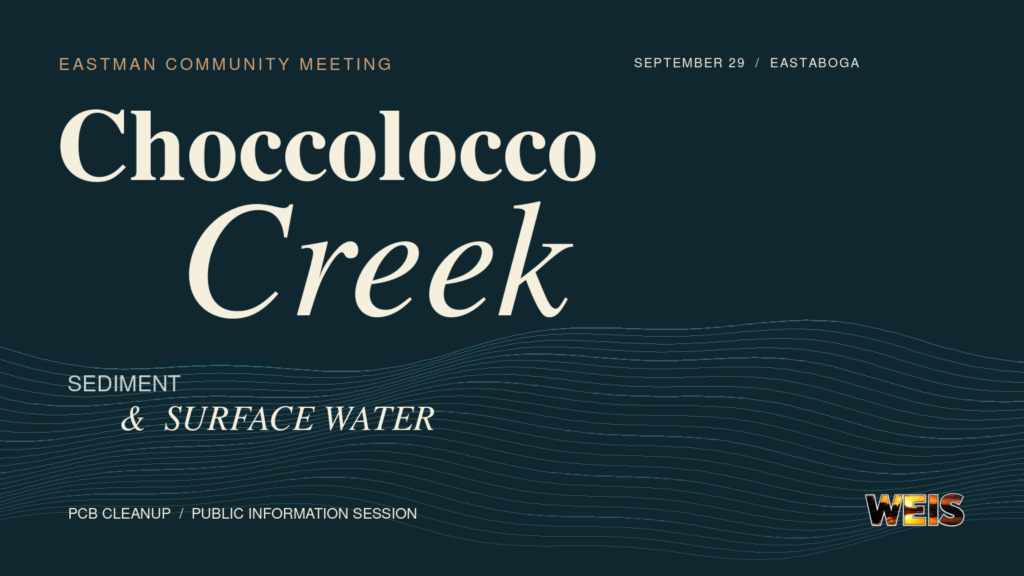 Typographic Choccolocco Creek meeting header with abstract sediment and water lines and a small WEIS logo.