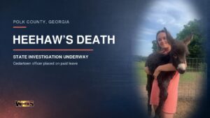 Hannah Israel holds miniature donkey HeeHaw before the HeeHaw donkey shooting that prompted a state investigation.
