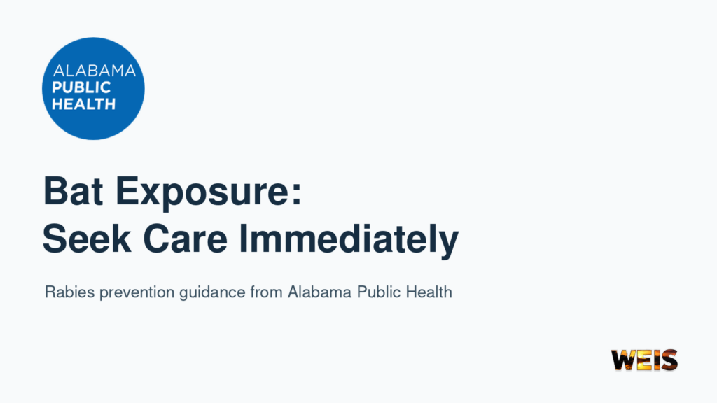 Alabama Public Health logo with guidance to seek immediate medical care after potential bat exposure.