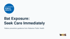 Alabama Public Health logo with guidance to seek immediate medical care after potential bat exposure.