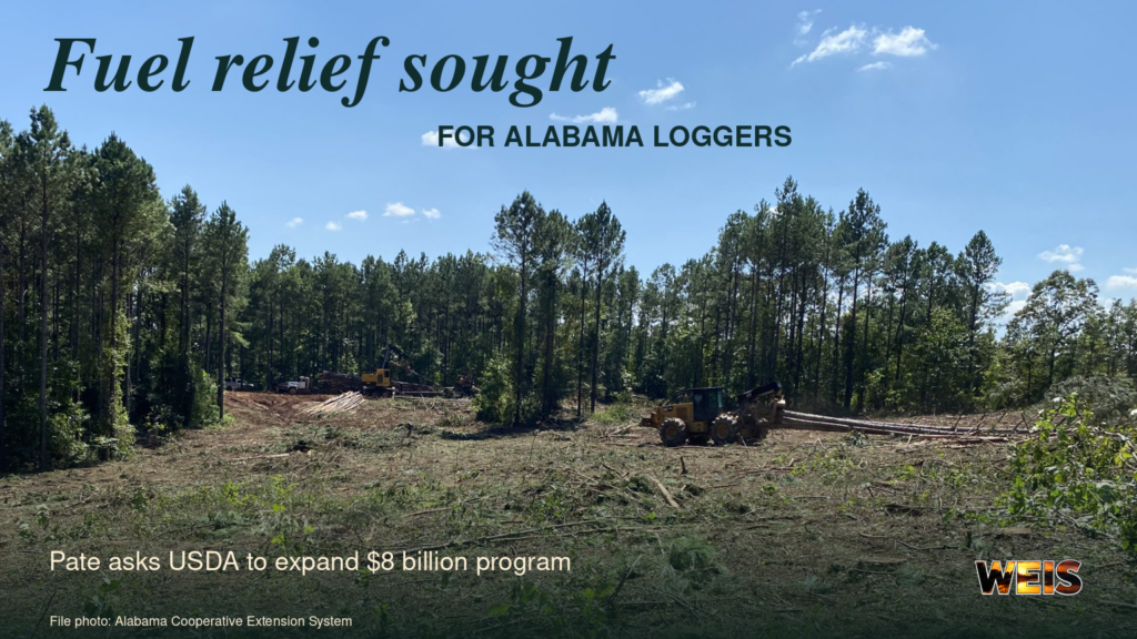 Timber-harvest equipment in a forest clearing in a news header about fuel relief sought for Alabama loggers.