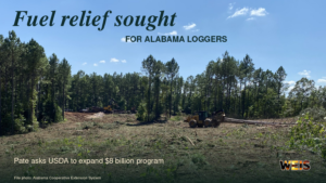 Timber-harvest equipment in a forest clearing in a news header about fuel relief sought for Alabama loggers.