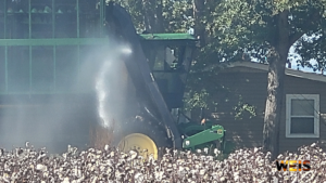 Text: Green cotton picker beside a cotton field during a reported fire in Centre, with WEIS branding.