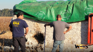 Two men beside a smoldering cotton module in Garrett Bottoms, with the WEIS logo along the bottom.