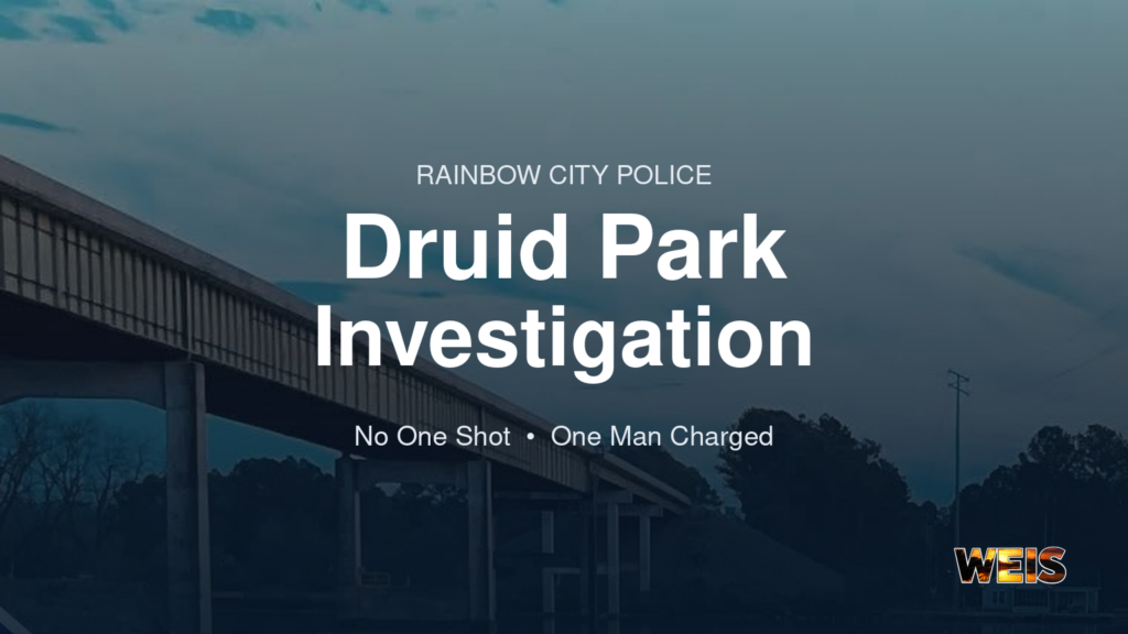 Druid Park investigation news header using bridge imagery from Rainbow City Police Department artwork with WEIS branding.