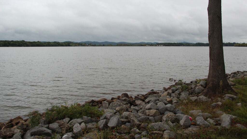 Rock-lined shoreline and a tree beside Weiss Lake, with wooded hills across the water.