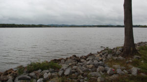 Rock-lined shoreline and a tree beside Weiss Lake, with wooded hills across the water.